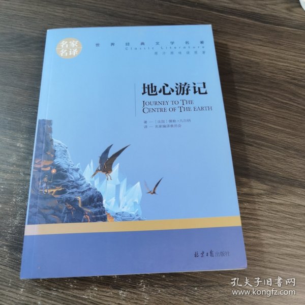 地心游记 中小学生课外阅读书籍世界经典文学名著青少年儿童文学读物故事书名家名译原汁原味读原著