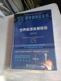 世界能源蓝皮书:世界能源发展报告（2019）