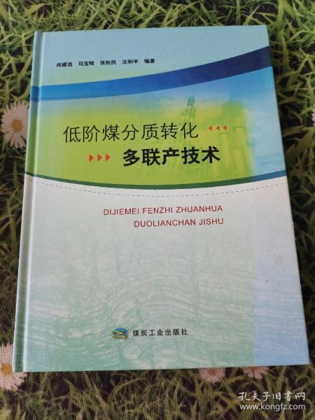 低阶煤分质转化多联产技术