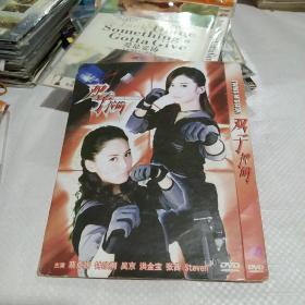 DVD 双子神偷