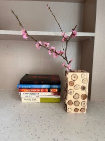 木工制作干花瓶 也可以做笔筒