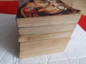 济公全传上下+济公外传上下+济公后传（杨志民等老版评书 济公传五册大全套）