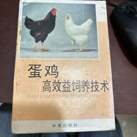 蛋鸡高效益饲养技术