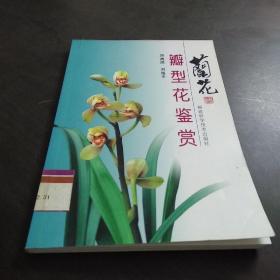 兰花瓣型花鉴赏