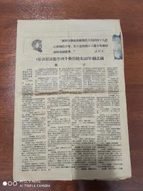 报纸收藏     阿城县工代会《革命职工战报》增刊    53-39厘米