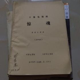 电视剧《惊魂》剧本（6.7.8.9.10五本合售）