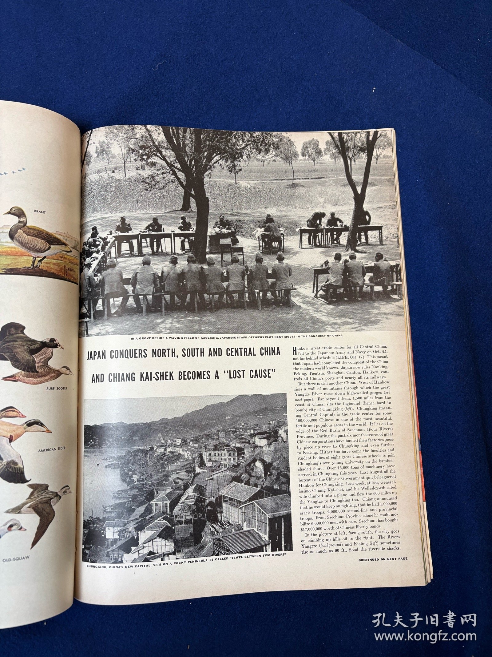点击查看原图 美国生活杂志关于重庆报道共9篇专题:1938年11月7日life magazine:日本占领华北,华南,和华中,蒋介石或将成为一个“过去时” (1)(实)