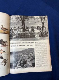 美国生活杂志关于重庆报道共9篇专题:1938年11月7日life magazine:日本占领华北,华南,和华中,蒋介石或将成为一个“过去时” (1)(实)