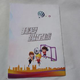 2018年大理市第三届青少年校园足球四级联赛暨校园啦啦操精英赛秩序册