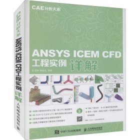 【正版书籍】CAE分析大系ANSYS ICEM CFD工程实例详解