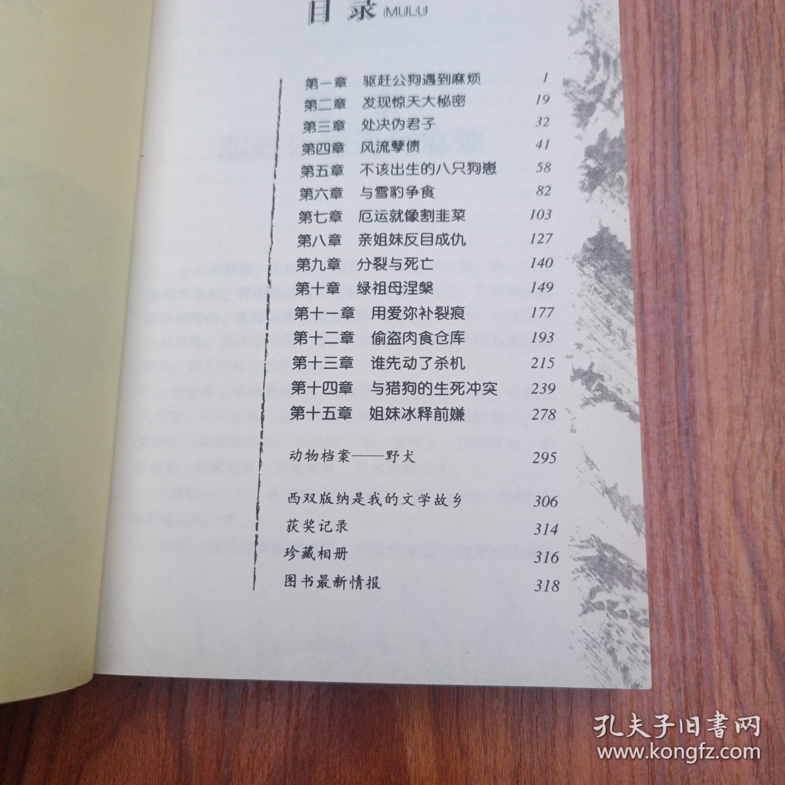 野犬女皇：动物小说大王沈石溪.品藏书系