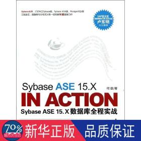 sybase  ase 15.x数据库全程实战 软硬件技术 何雄 新华正版