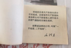胸怀朝阳永向前
