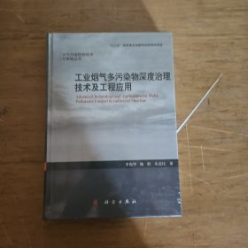 工业烟气多污染物深度治理技术及工程应用