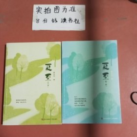 夏至 上下册 共两本（有长情的陪伴，有忐忑的等待，有些人离开后再也没有回来，而有些人默默守候了整个人生。）