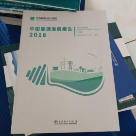 中国能源发展报告（2018）