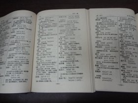 国语辞典（4册全）