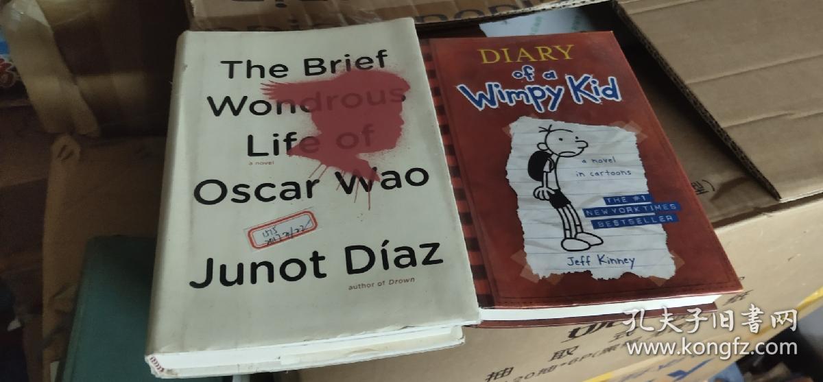 Diary of a Wimpy Kid 精装本