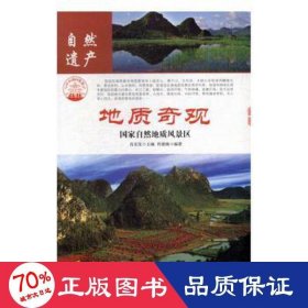 自然地质风景区(彩图版)/中华精神家园(自然遗产)地质奇观 社科其他 陈果安