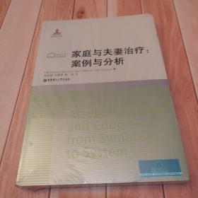 社会工作流派译库·家庭与夫妻治疗：案例与分析