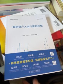 數據資產入表與價值評估