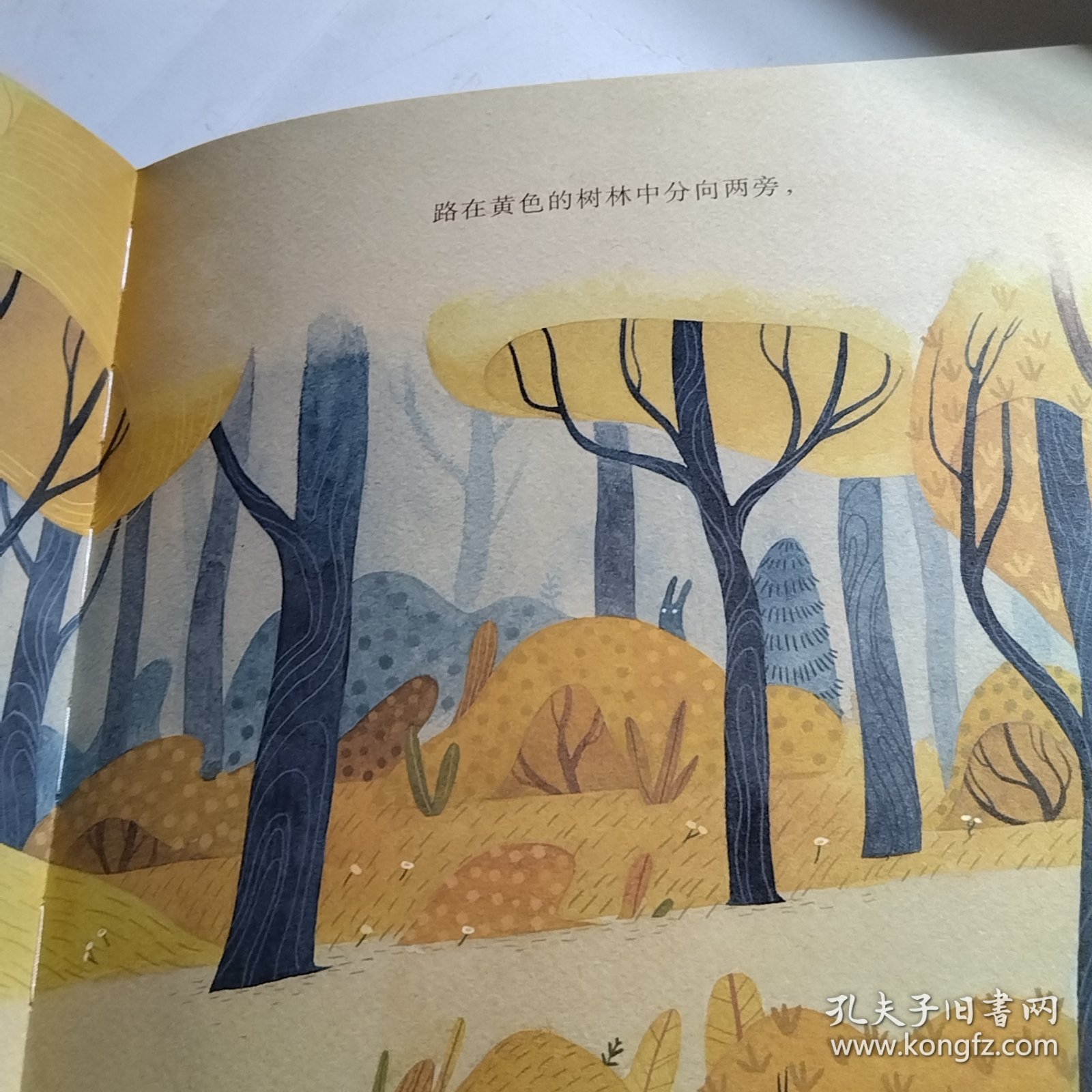 新蕾精品绘本馆——未选择的路