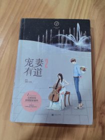 宠妻有道2
