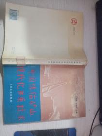 中國鎳鈷礦山現(xiàn)代化開采技術(shù) 首頁印章
