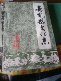 寿光县文化志