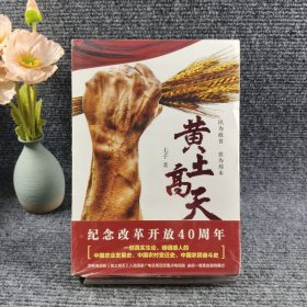 黄土高天（纪念改革开放40周年作品!“三农”题材长篇佳作，影视同名作品）