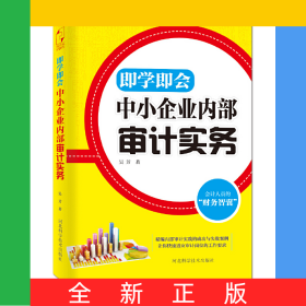 即學(xué)即會中小企業(yè)內(nèi)部審計實務(wù)