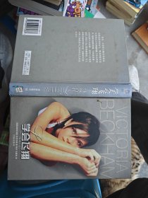学会飞翔：辣妹自传