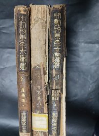 3本 内外动物原色大图鉴 8 9 10卷 内外 动物原色大图鉴 昆虫类编 蜘蛛类编 多足类编 第八 九 十卷 民国 昭和十一年 民国 1936年 古旧书 日语原版书 馆藏书 精装本 蝴蝶 蜻蜓 蝎子 蜘蛛 螃蟹 蜜蜂等等 昆虫研究类图书