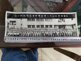 1973年巴富街官立上午小学毕业照7张