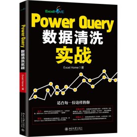 Power ery数据清洗实战 9787301317716 Excel Home