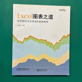 Excel图表之道：如何制作专业有效的商务图表