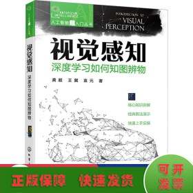 人工智能超入门丛书--视觉感知：深度学习如何知图辨物 ChatGPT聊天机器人入门