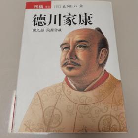 德川家康（第九部）：关原合战