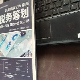 财务精英进阶指南：税务筹划（案例+税务风险+政策讲解）