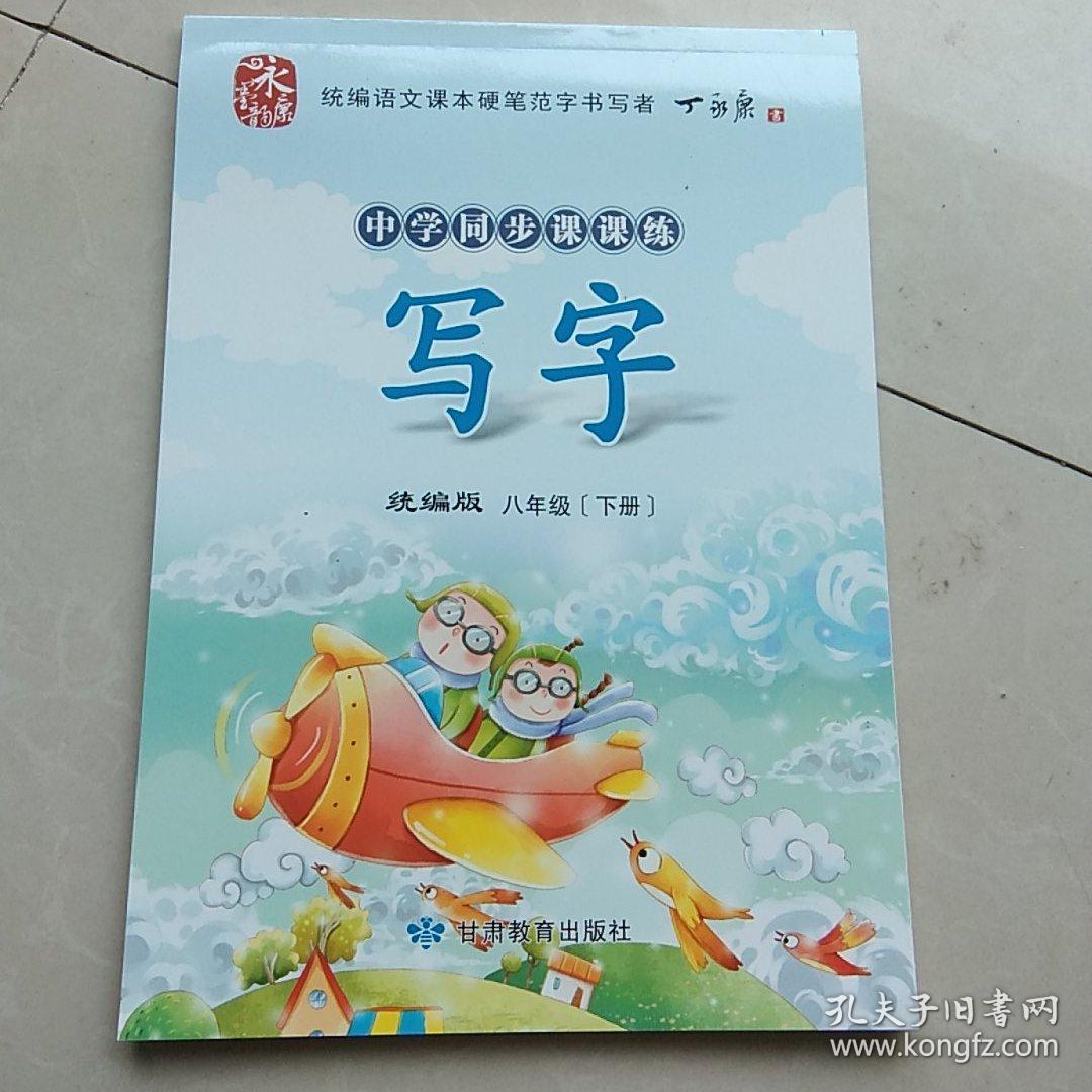 丁永康字帖：写字课课练（八年级下册 人教版 新课标）