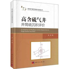 高含硫气井井筒硫沉积评价