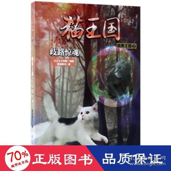 猫王国·暗黑王国.2，歧路惊魂