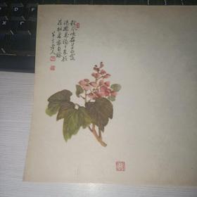 早期信纸 50年代 庆祝国庆十周年 花笺 国画 花信纸   编号28   货号51-3