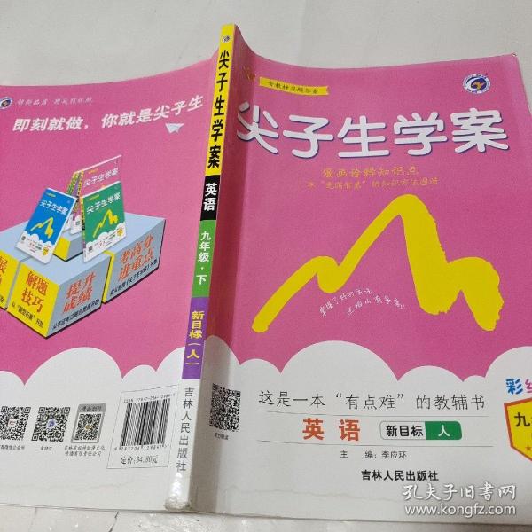 尖子生学案人教版九年级英语（下）