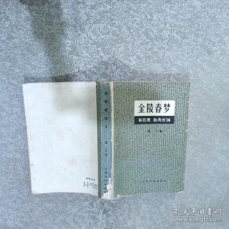 金陵春梦4 血肉长城