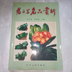 君子兰名品赏析