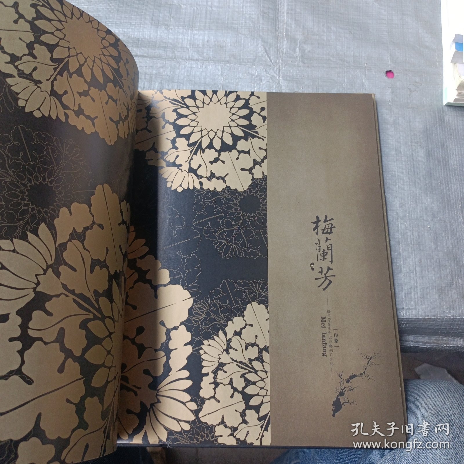 梅兰芳：漫画版梅兰芳插图集