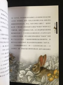 棉尾兔破耳朵/西顿野生动物故事集