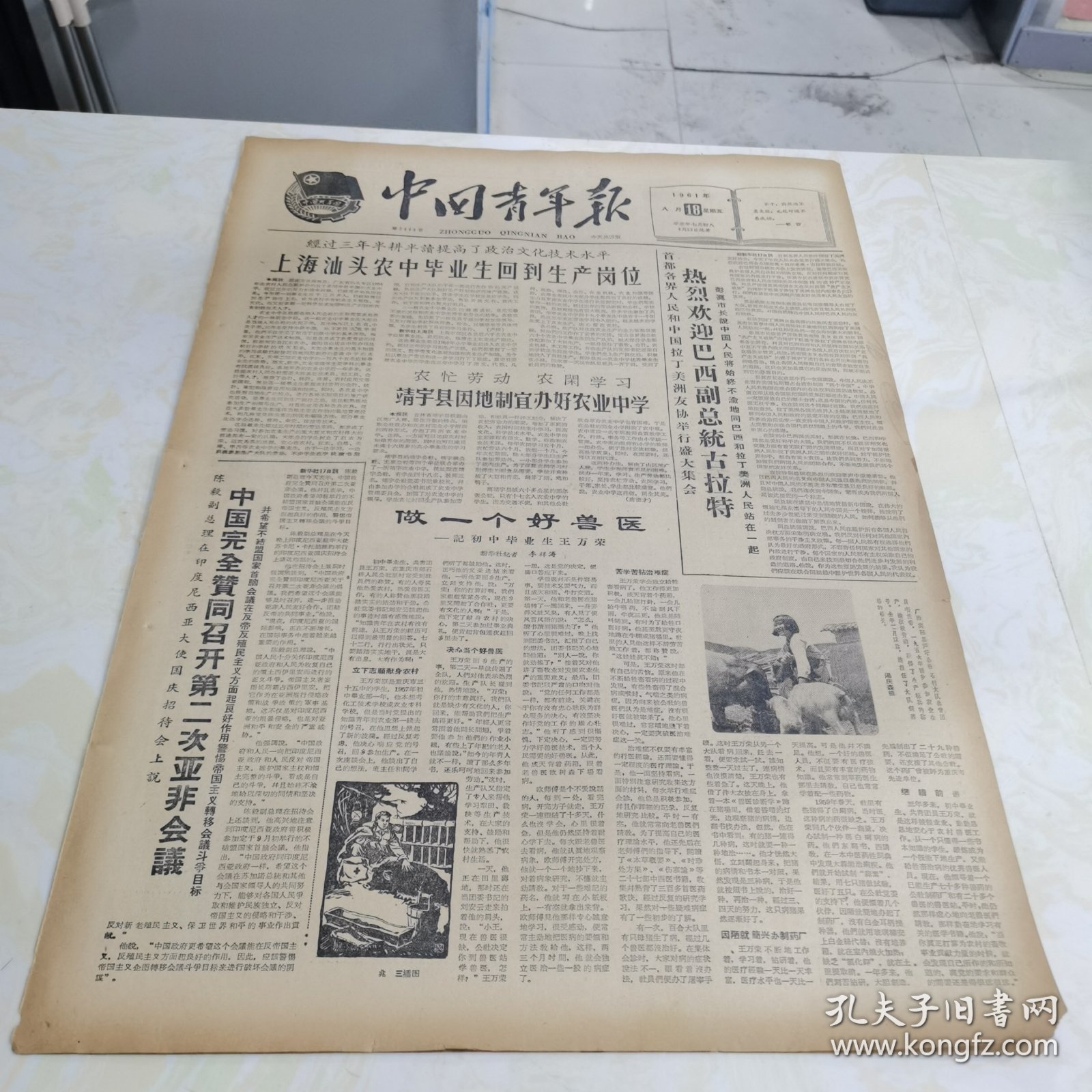 中国青年报1961年8月18日（4开四版）热烈欢迎巴西副总统古拉特；中国完全赞同召开第二次亚非会议；做一个好兽医——记初中毕业生王万荣；舍身救人的归国侨生莫丽花；用多种方式培养积极分子。