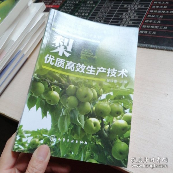 果树优质高效生产技术丛书：梨优质高效生产技术